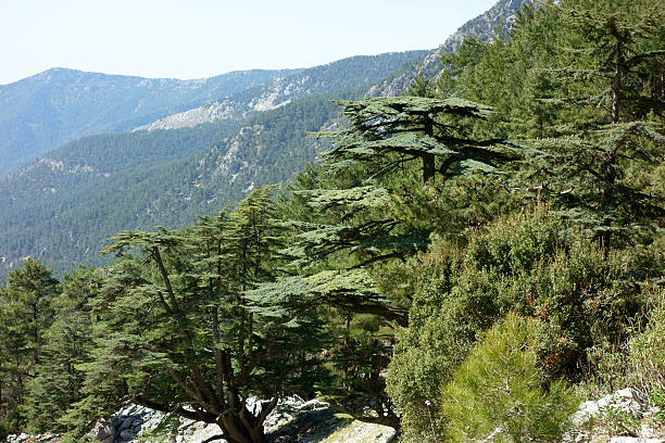 istock Likya Yolu hiking trail, Turkey 601148438