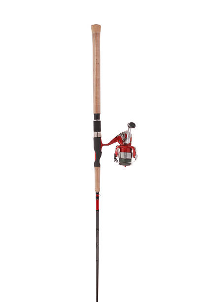 istock Ultra light fishing rod for catching predatory fish 601149790