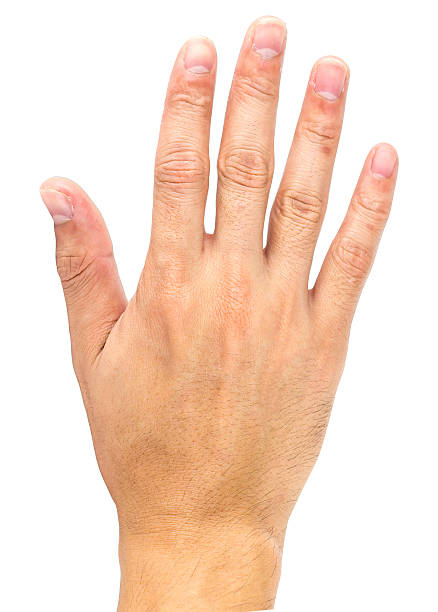 istock Man hand isolated on white background 601151758