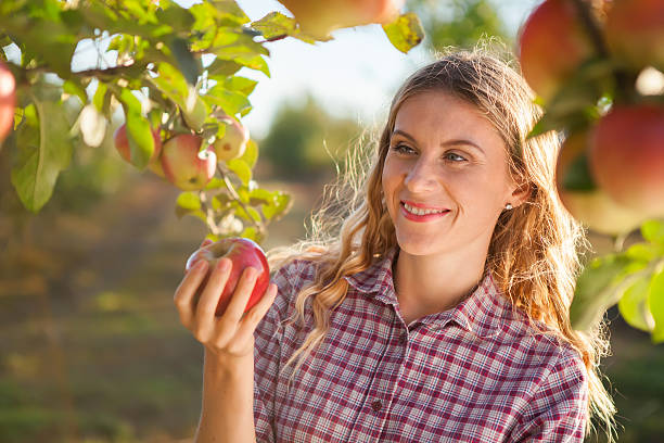 istock Young woman picking apples from apple tree 601152668