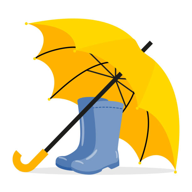 Vector illustration with autumn rubber boots and umbrella. vector art illustration