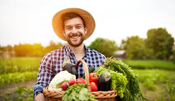 istock Cheerful farmer with organic vegetables 601154768