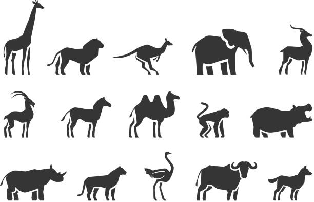 tiervektor-symbole gesetzt - ostrich ape animal monkey stock-grafiken, -clipart, -cartoons und -symbole