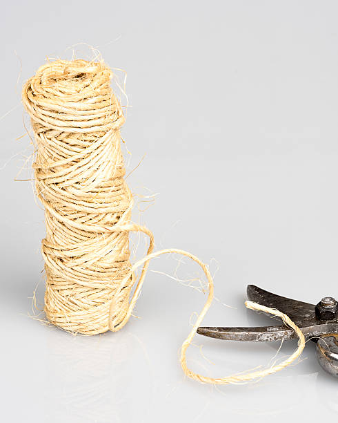 istock Yard twine and metal cutters 601155678