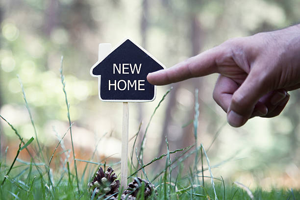 istock House Shaped Chalkboard sign on nature NEW HOME 601158204