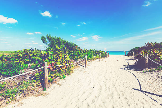 istock Entrance to a tropical beach 601158646