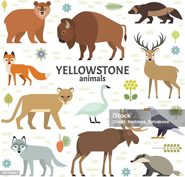 Vector Illustration Of Yellowstone National Park Animals Stock Illustration - Download Image Now