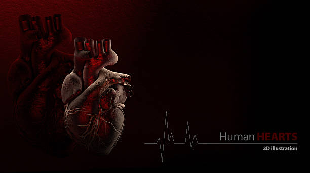 istock Anatomy of Human Heart 601357522