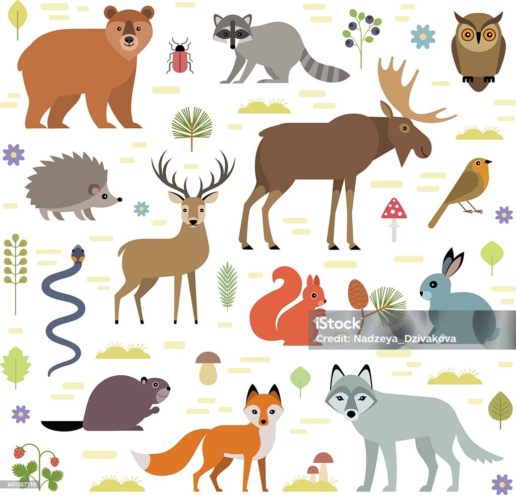 Forest animals Vector illustration of forest animals: moose, deer, bear, hedgehog, rabbit, squirrel, beaver, wolf, fox, raccoon, owl, grass snake, isolated on transparent background. Deer stock vector