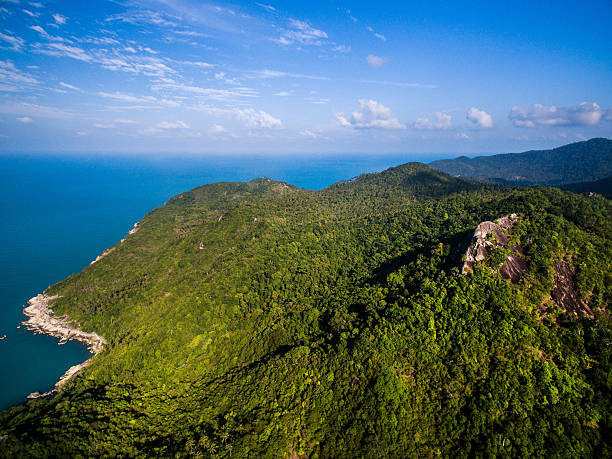 istock hills in the jungle with clouds shadow in Thailand 601357932