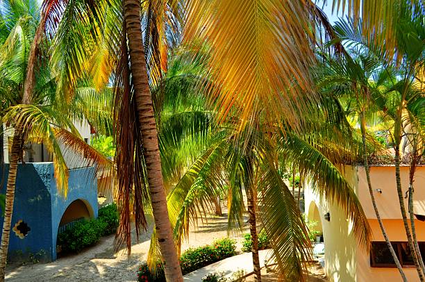 View of cuban resort hotel room resort during holidays vacation stock photo