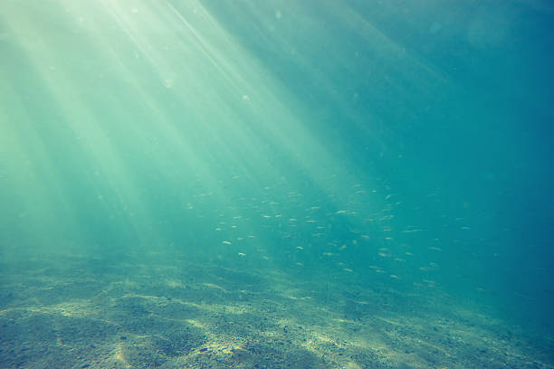 istock Underwater shot with sunrays and fish in deep tropical sea 601361180