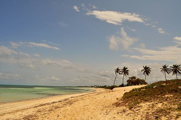 Cuban beach turquoise water white sand palmtree holidays vacation resort stock photo