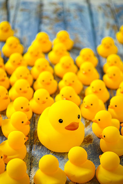 istock One large rubber duck amongst many smaller ones. 601372276