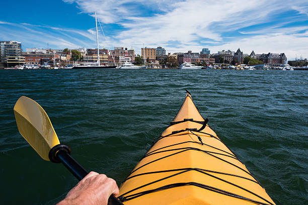 istock Sea Kayaking in Victoria, BC, Canada 601372726