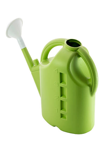 istock Green plastic watering can isolated on white background. 601374164