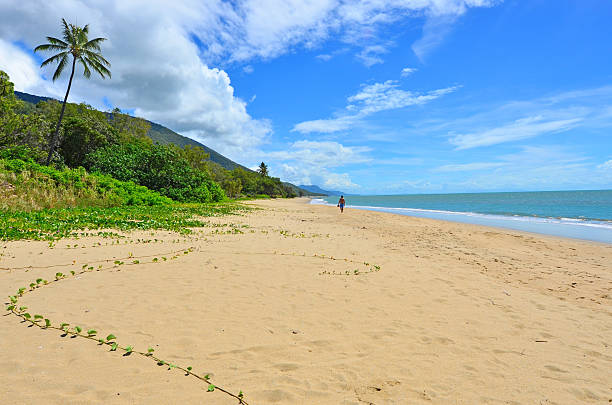 istock Man walks on a wild beach in Queensland Australia 601377412