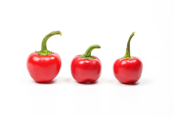 istock Small bell pepper chili capsicum paprika 601378850