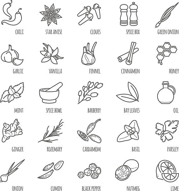 illustrazioni stock, clip art, cartoni animati e icone di tendenza di icone vettoriali spezie e condimenti - cardamom indian culture food spice