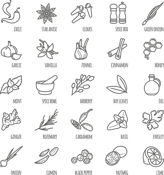 ilustrações de stock, clip art, desenhos animados e ícones de spices and seasonings vector icons - onion vegetable leaf spice
