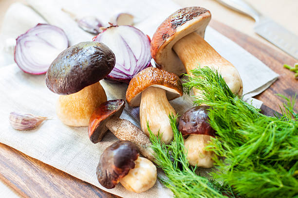 cocinar sopa-deliciosas setas porcini sobre fondo de madera. boletus edulis - cepe fungus forest dining fotografías e imágenes de stock