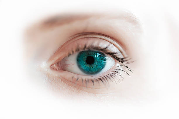 Child's eye macro