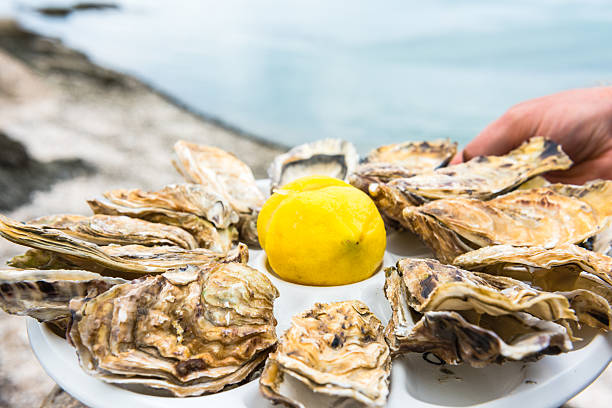 istock Male hand holding oysters 601380354