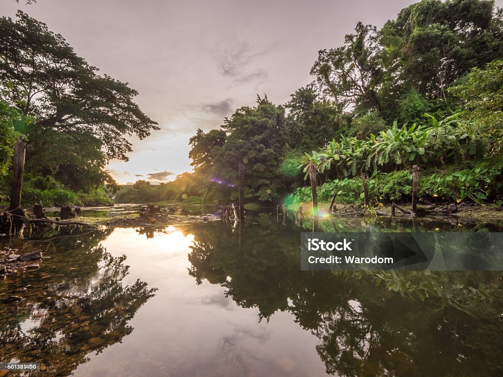 Unseen Thailand Nature At Kaeng Krachan National Park Stock Photo -  Download Image Now - iStock