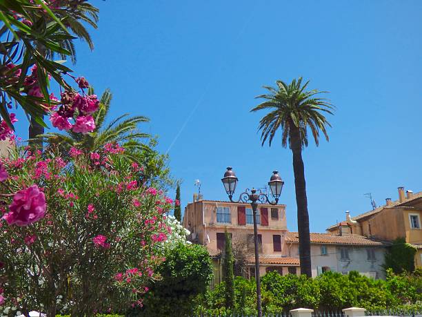 istock Summer day in St. Tropez 601382828