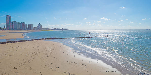 istock Blue sky over a beach along the sea 601383118