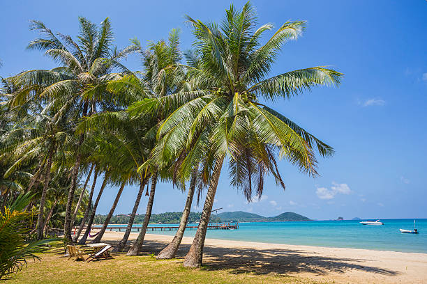 istock Beautiful tropical beach at island Koh Chang 601385980
