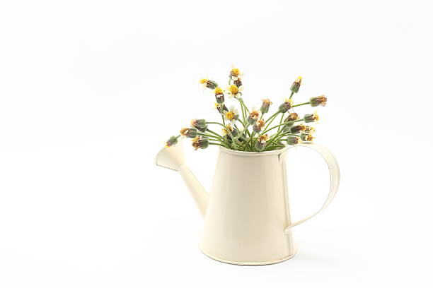 istock beautiful wild flowers with in watering can on white background 601386578