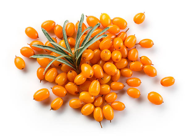 istock Sea buckthorn isolated on the white. 601387232