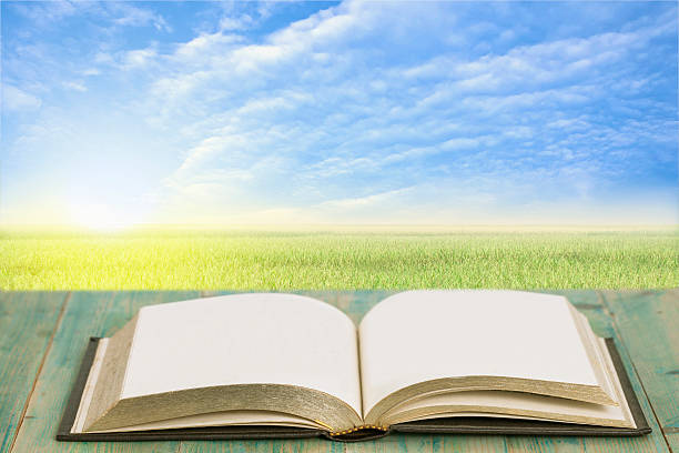 istock Book on wood walk with rice filed background 601387984