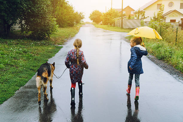 istock Girls walking with dog 601388914