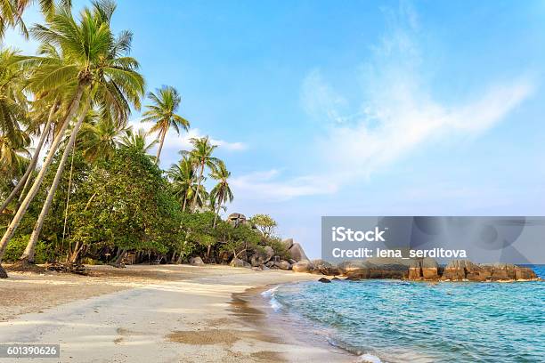 Asiatisches Tropisches Strandparadies Stockfoto und mehr Bilder von Insel Ko Samui - Insel Ko Samui, Thailand, Asien