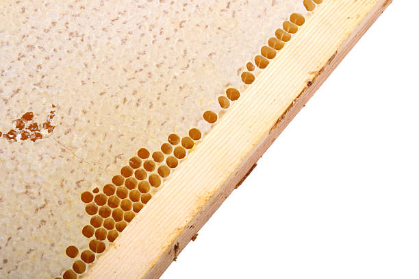 istock honeycomb honey in a wooden frame 601392112