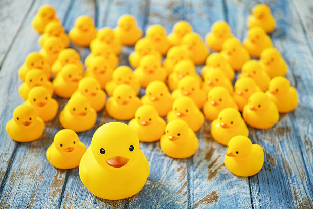 istock One large rubber duck with many smaller ones following it. 601392580