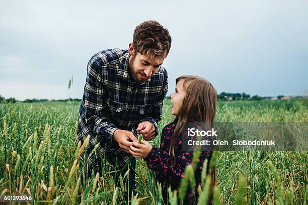 Father And Daughter Stock Photo - Download Image Now - Agricultural Field,  Family, Wheat - iStock