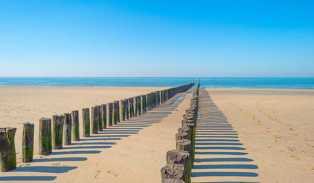istock Breakwater to sea in summer 601395342