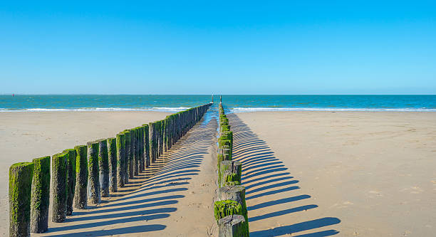 istock Breakwater to sea in summer 601395828
