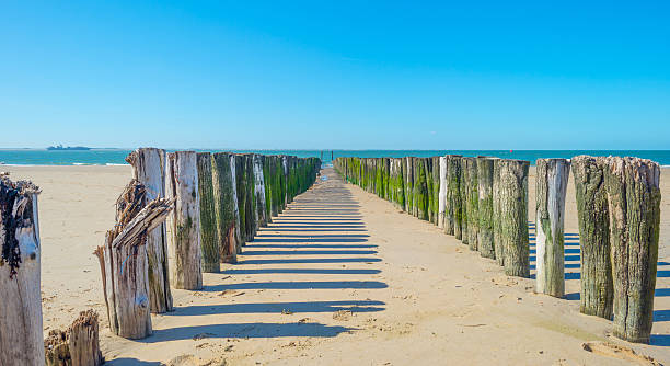 istock Breakwater to sea in summer 601396410