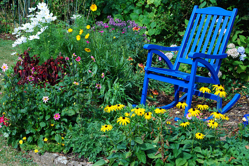 Summer flowers and a blue rocking chair, Germany, Eifel.