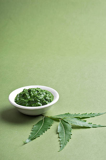 Medicinal Neem leaves with paste in bowl stock photo