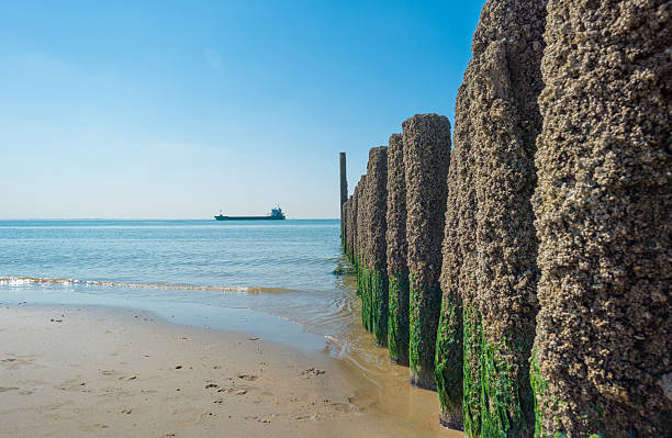istock Breakwater to sea in summer 601401312
