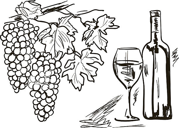 와인  - vine street stock illustrations