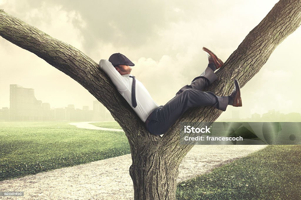 Lazy business man enjoying break on a tree Laziness Stock Photo