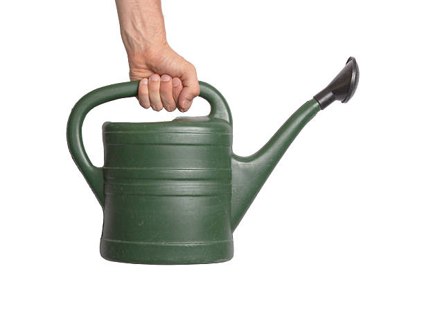 istock Hand holding green watering can 601895972