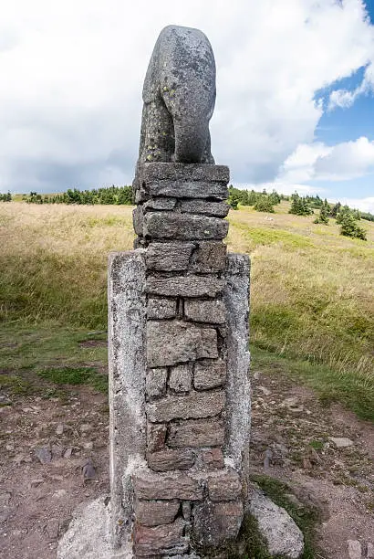 statue named Slune (little elephant) created in 1932 on Kralicky Sneznik hill with meadow on the background and blue sky with clouds