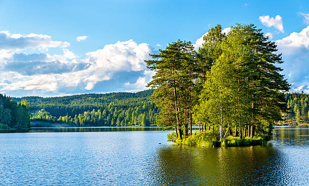 istock Sognsvann lake north of Oslo 601901996